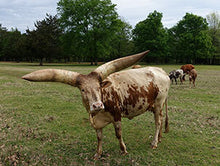 Load image into Gallery viewer, CHEROKEE TRACE SAFARI